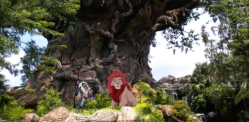Animal Kingdom's Tree of Life