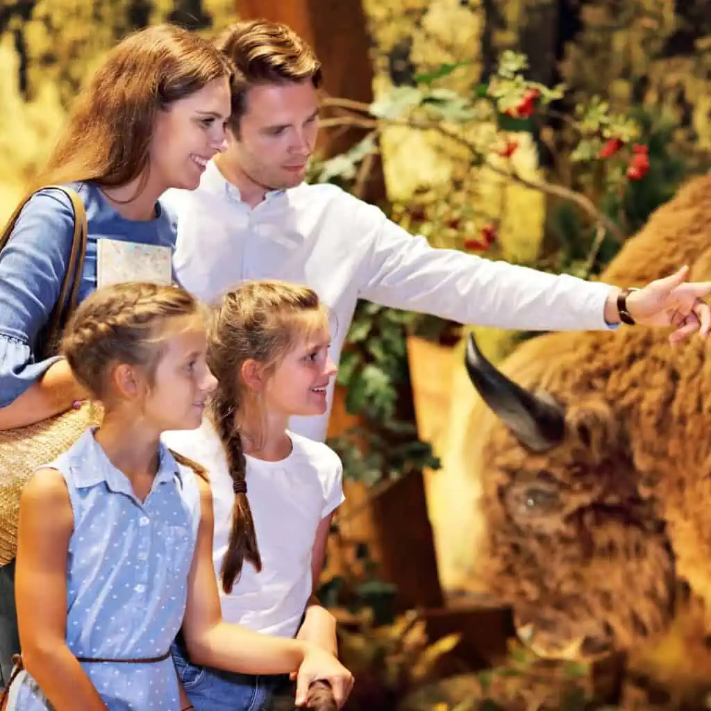 offbeat travel experiences in florida; visit a museum