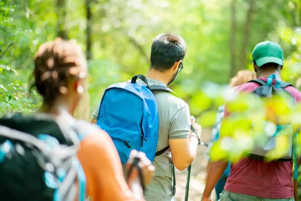 Best hiking trails ocala national forest