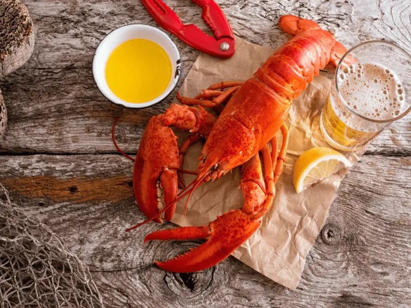 key west lobsterfest