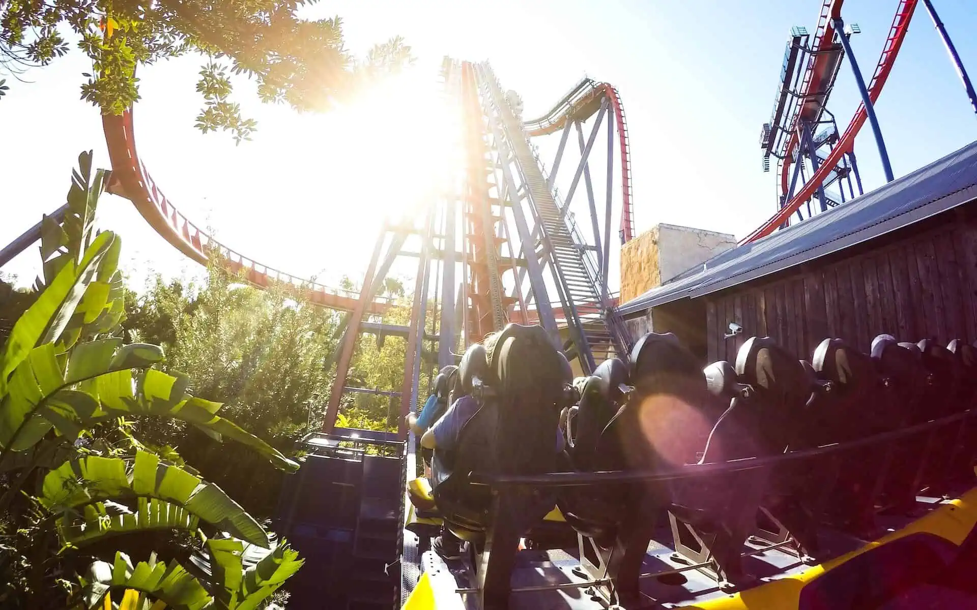 busch gardens tampa bay fat friendly